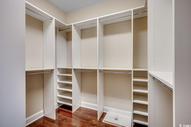 spacious closet with dark hardwood / wood-style flooring