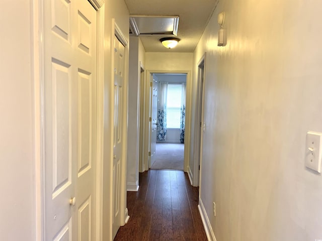 corridor featuring dark wood-type flooring