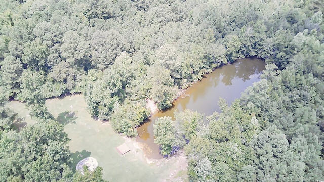 birds eye view of property featuring a water view and a view of trees