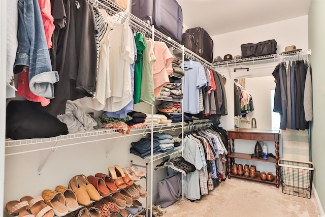 spacious closet featuring carpet