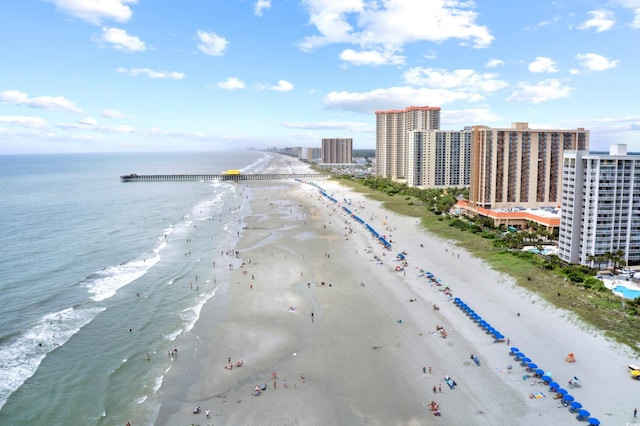 view of water feature with a beach view