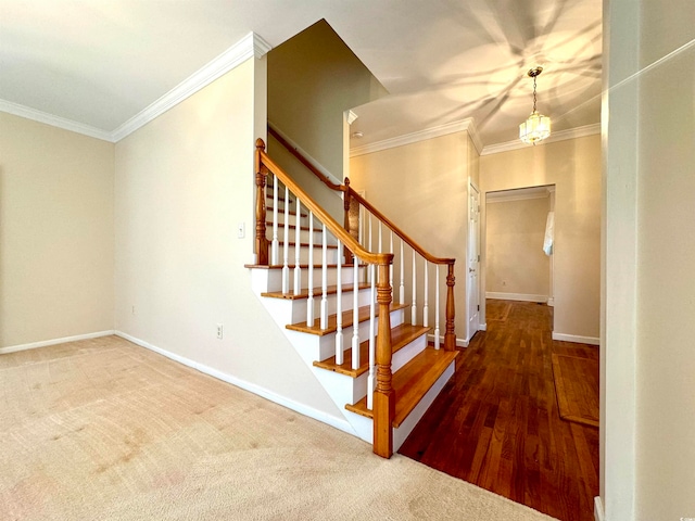 stairs with ornamental molding and carpet floors