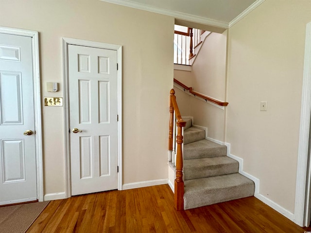 foyer featuring hardwood / wood-style flooring and crown molding