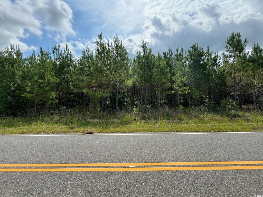 TBD Gause Rd, Loris, SC 29569 - photo 1