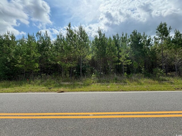TBD Gause Rd, Loris, SC 29569 - photo 1