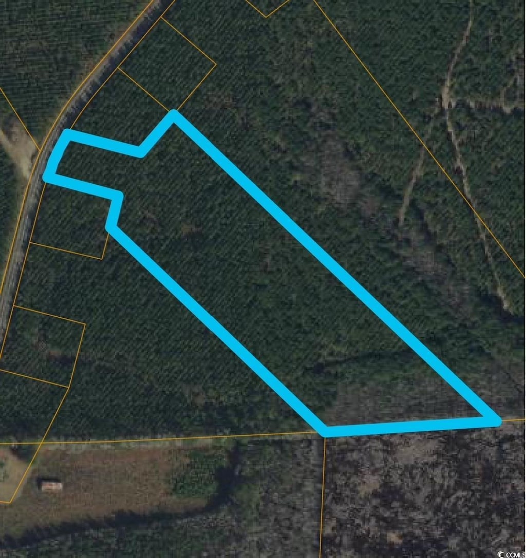 TBD Gause Rd, Loris, SC 29569 - photo 2