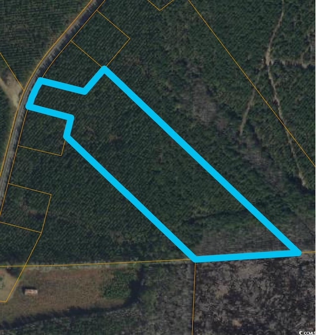 TBD Gause Rd, Loris, SC 29569 - photo 2