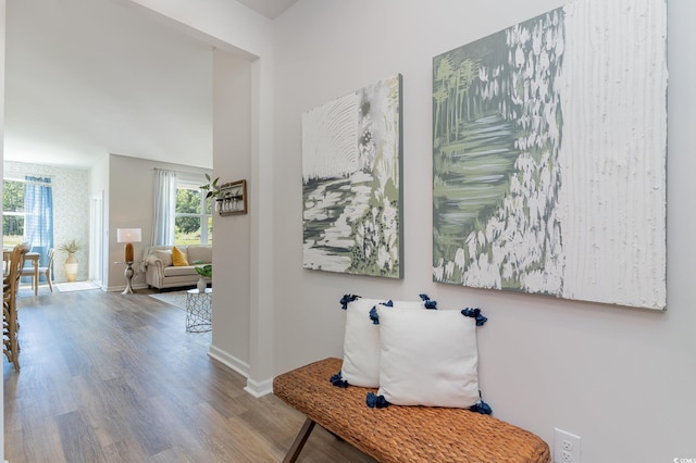 corridor featuring hardwood / wood-style flooring