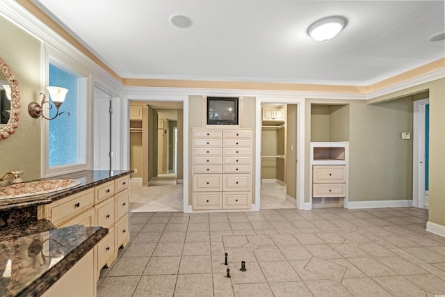 interior space featuring crown molding and sink