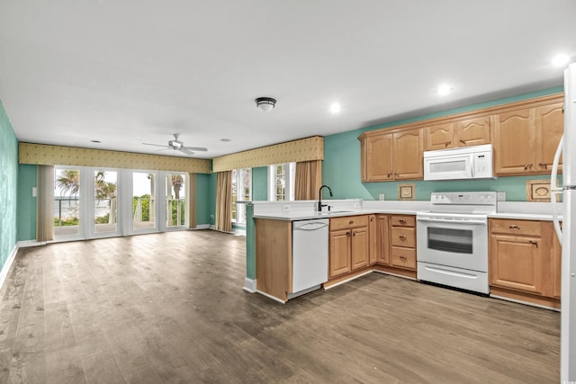 kitchen with sink, ceiling fan, kitchen peninsula, hardwood / wood-style flooring, and white appliances