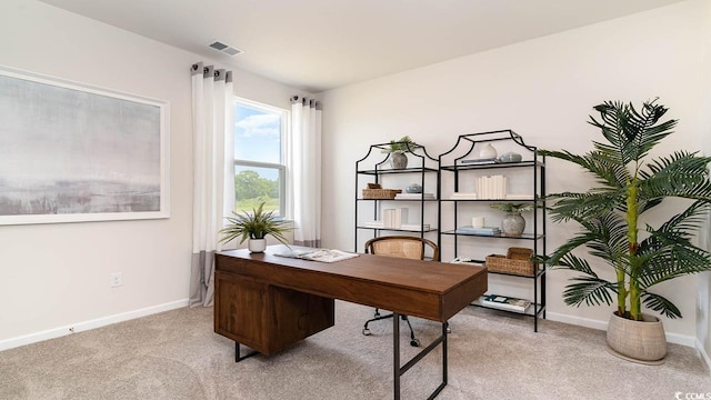 view of carpeted office space