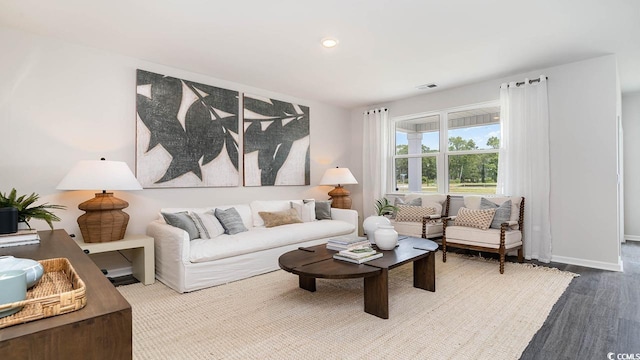 living room with wood-type flooring