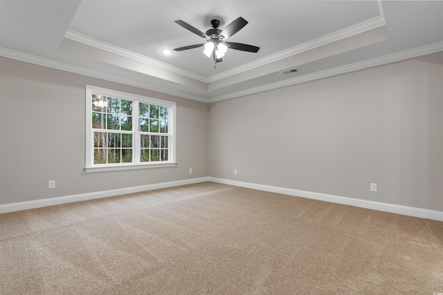 spare room featuring a raised ceiling and light carpet