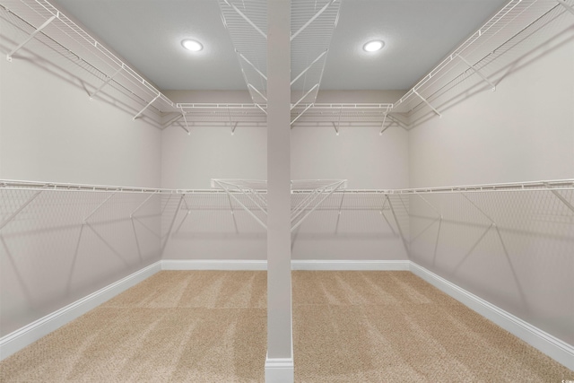 walk in closet featuring carpet flooring