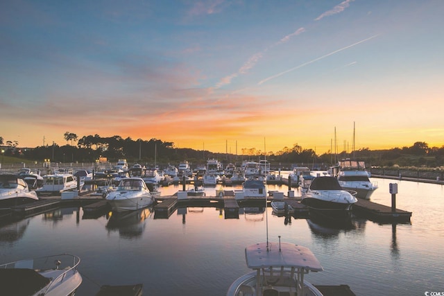 property view of water featuring a boat dock