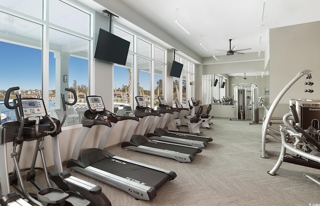 exercise room with ceiling fan and carpet floors