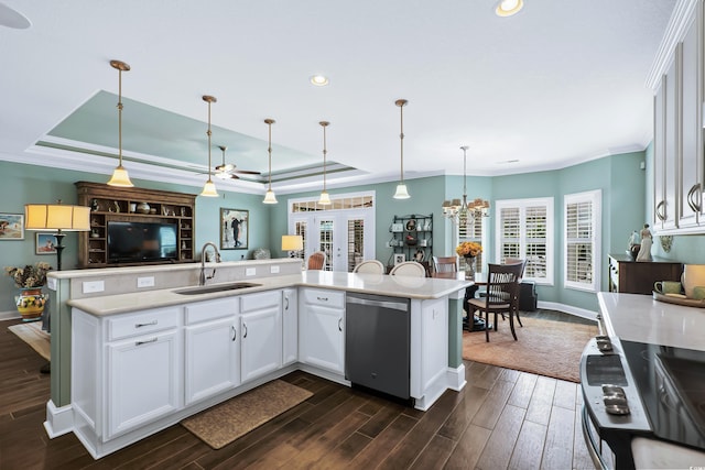 kitchen with stainless steel dishwasher, a healthy amount of sunlight, and a tray ceiling