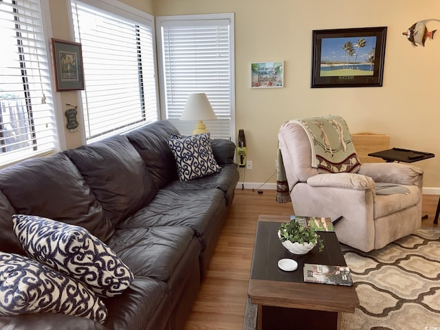 living room with a wealth of natural light and light hardwood / wood-style floors