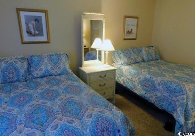 351 Lake Arrowhead Rd Unit 20-179, Myrtle Beach, SC 29572 - bedroom with carpet flooring