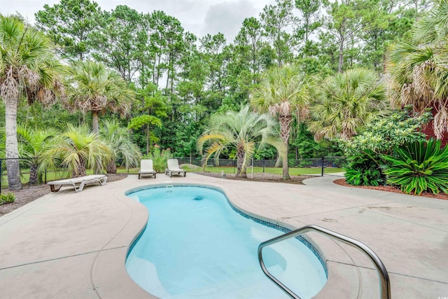 view of pool featuring a patio