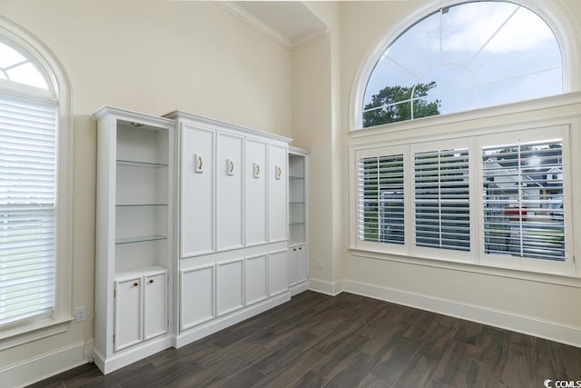 interior space featuring a wealth of natural light, dark wood-type flooring, and ornamental molding