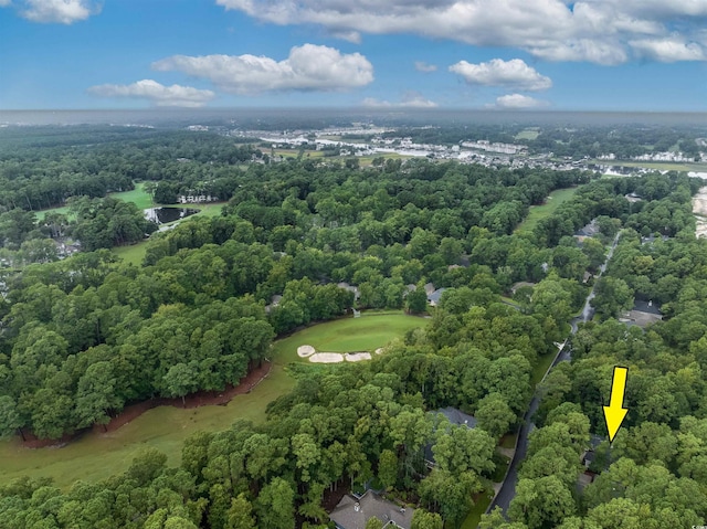 1237 Clipper Rd, North Myrtle Beach, SC 29582 - aerial view of a heavily wooded area