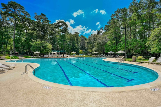 1237 Clipper Rd, North Myrtle Beach, SC 29582 - community pool featuring a patio and view of wooded area