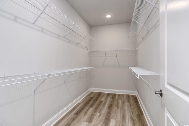 spacious closet featuring hardwood / wood-style floors