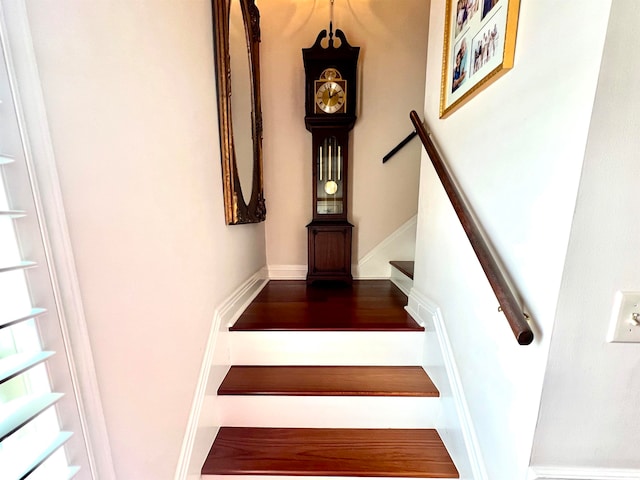 stairway featuring hardwood / wood-style floors