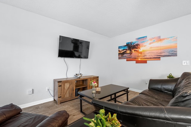 living room featuring hardwood / wood-style floors and a textured ceiling