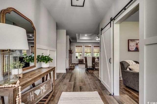 hallway featuring a barn door, dark hardwood / wood-style floors, and a tray ceiling