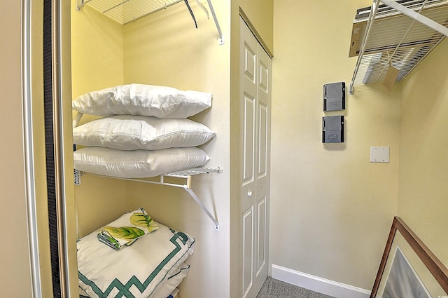 laundry room with carpet flooring