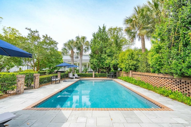 view of pool featuring a patio