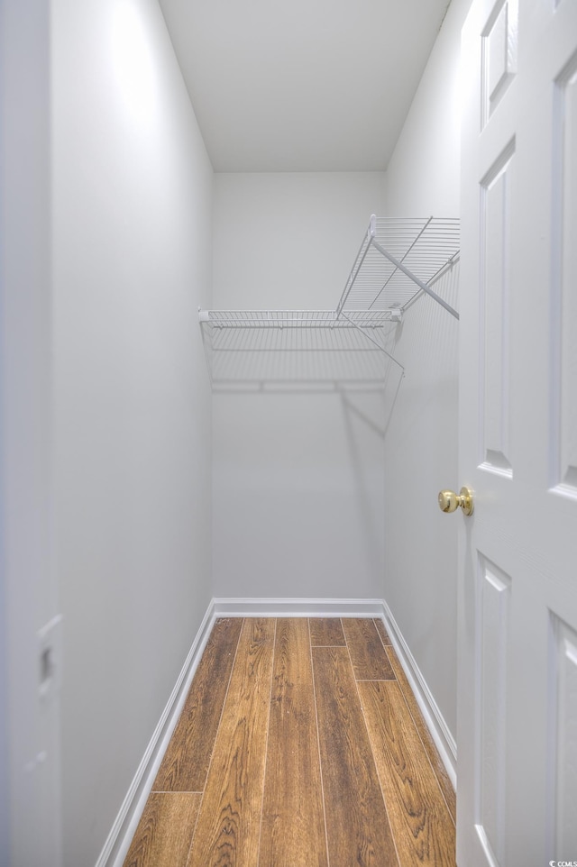 walk in closet with wood-type flooring