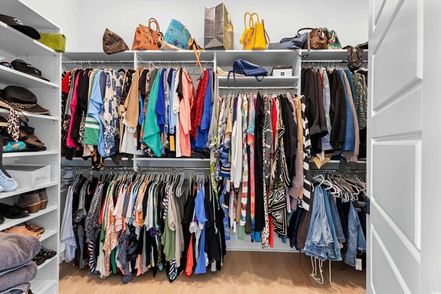 spacious closet featuring wood-type flooring