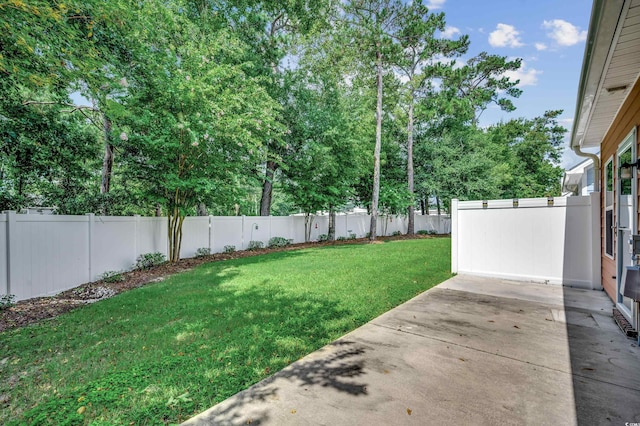 view of yard featuring a patio