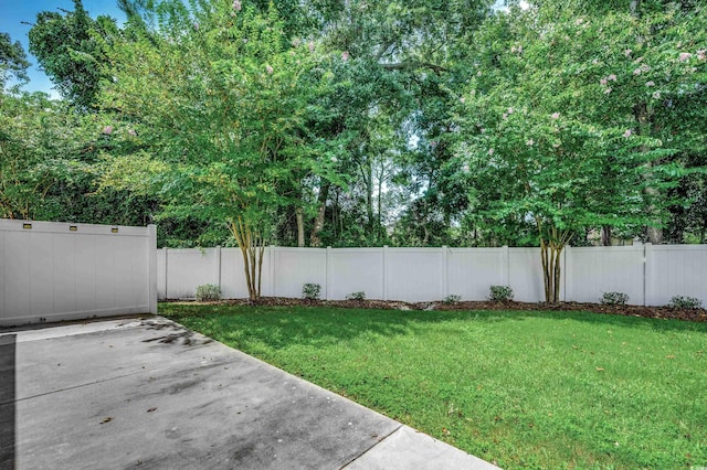 view of yard with a patio area