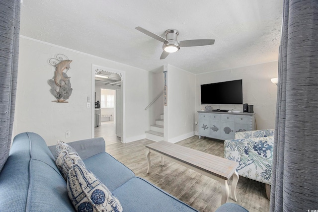 living room featuring ceiling fan, light hardwood / wood-style flooring, crown molding, and a textured ceiling