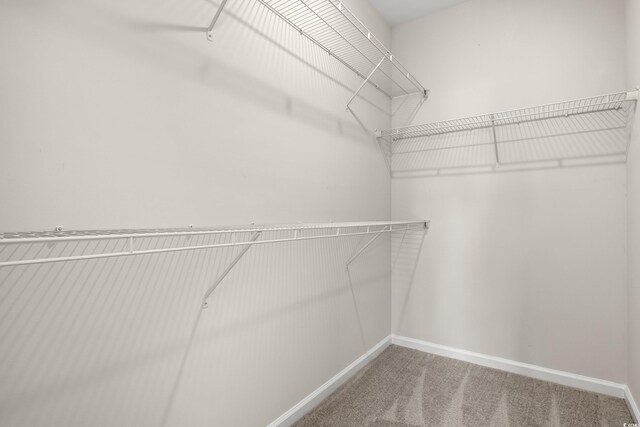 343 Hayloft Cir, Conway, SC 29526 - walk in closet with carpet flooring