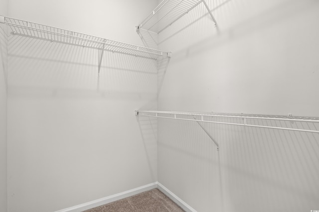 walk in closet with carpet