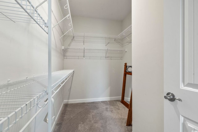 spacious closet with carpet floors