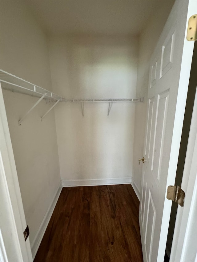 spacious closet with dark wood-type flooring