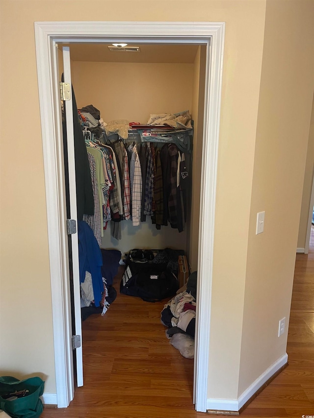 spacious closet with wood-type flooring