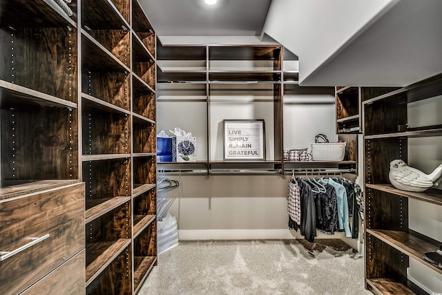 walk in closet featuring light colored carpet