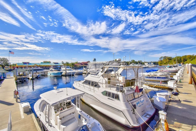 dock area featuring a water view