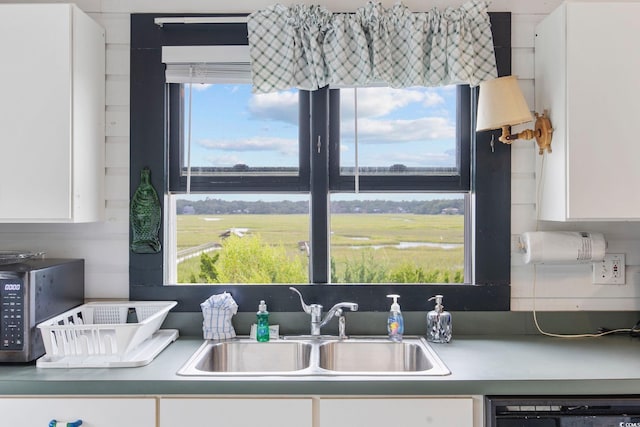 kitchen with white cabinetry, a healthy amount of sunlight, and sink