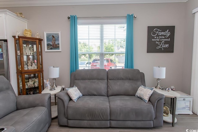 living room featuring crown molding