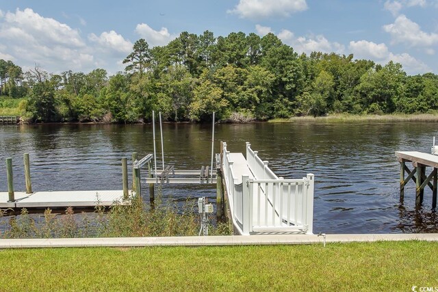 dock area with a water view