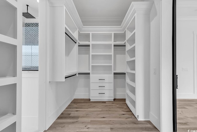 walk in closet featuring light hardwood / wood-style floors