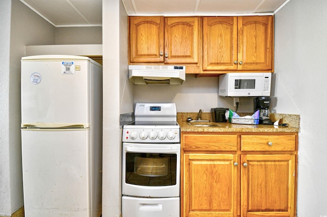 kitchen featuring ornamental molding, sink, and white appliances